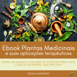 PLANTAS MEDICINAIS e Suas Aplicações Terapêuticas